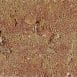 Excluton - Waalformaat Getrommeld - 20x5x7cm - Toscaans