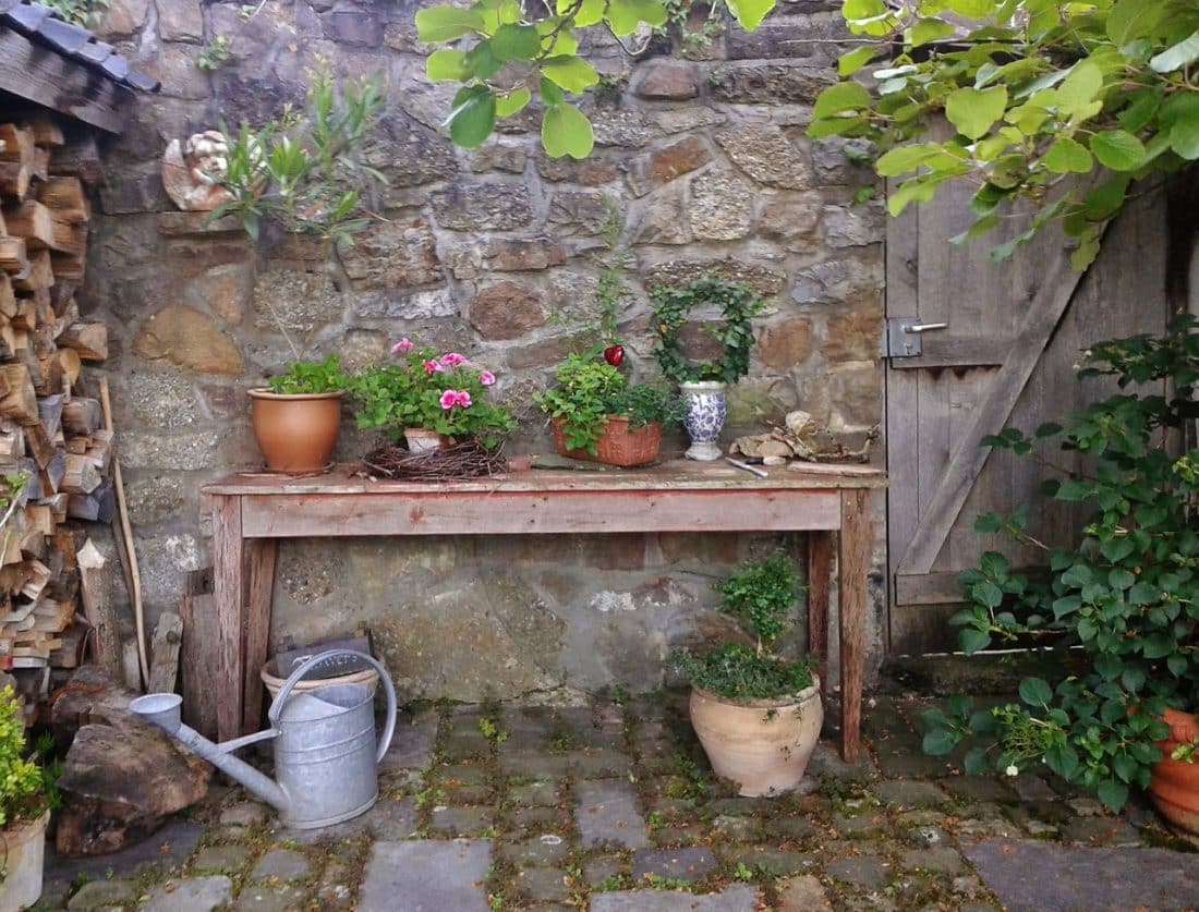 Groene aanslag en mos tussen tegels in de tuin
