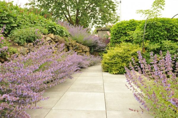Tuin met tuinplanten