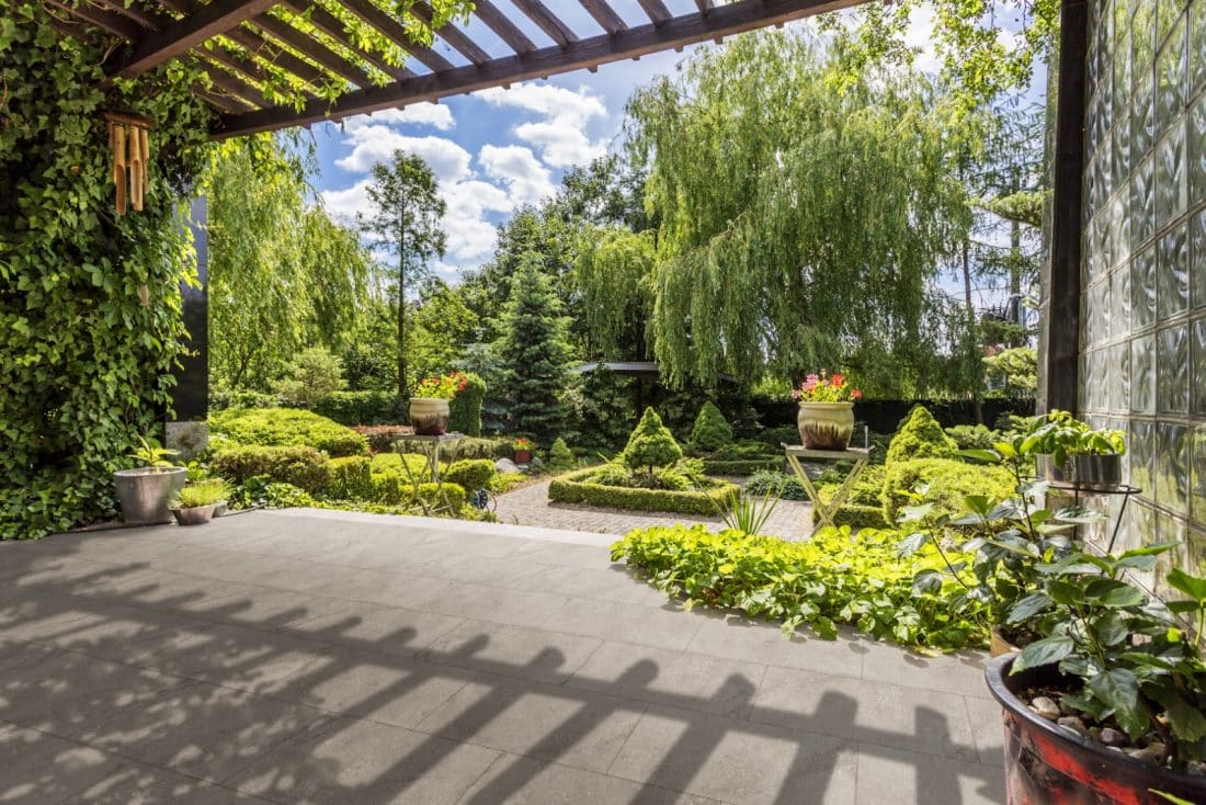 tuin beschermen hitte zomer