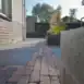 Grijs