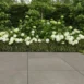 Tuinvisie keramische tuintegel Cerasolid Cortona 90x90x3cm Musk
